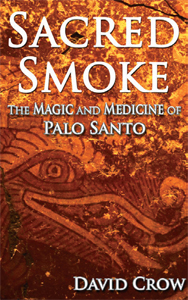 palo-santo-agaci-gizemi-5