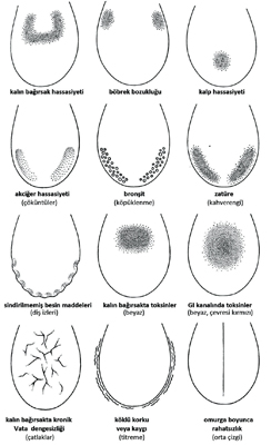 diliniz-sagliginizla-ilgili-ne-soyluyor-2